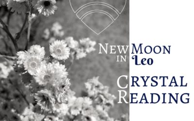 New Moon in Leo Crystal Reading