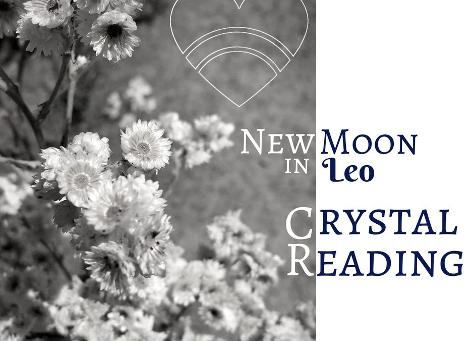 New Moon in Leo Crystal Reading